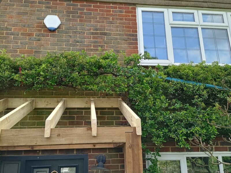 House with greenery